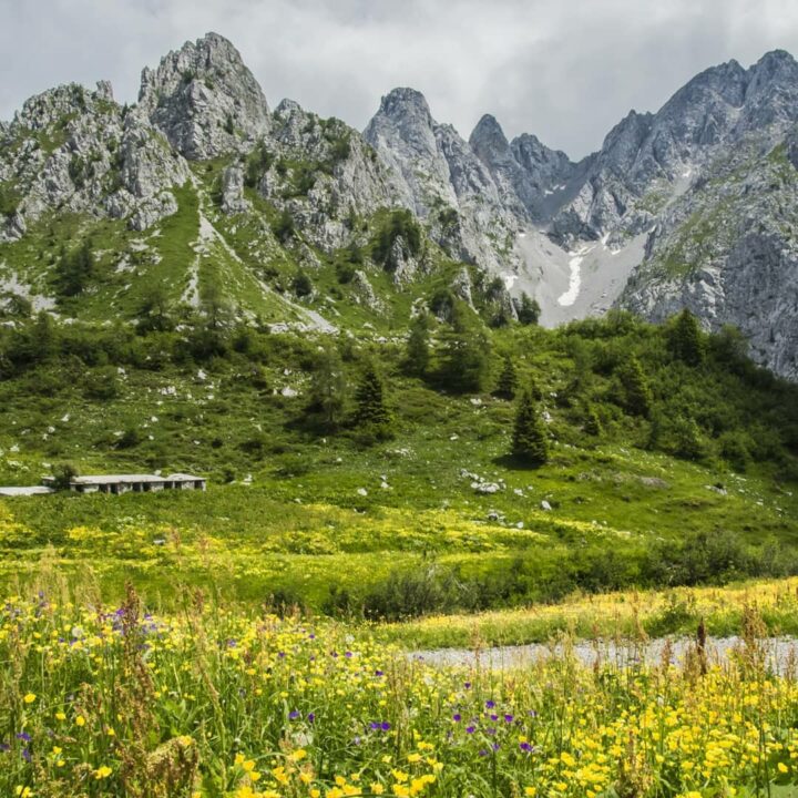 thumbnail Escursione al passo dei Campelli e passo del Giovetto