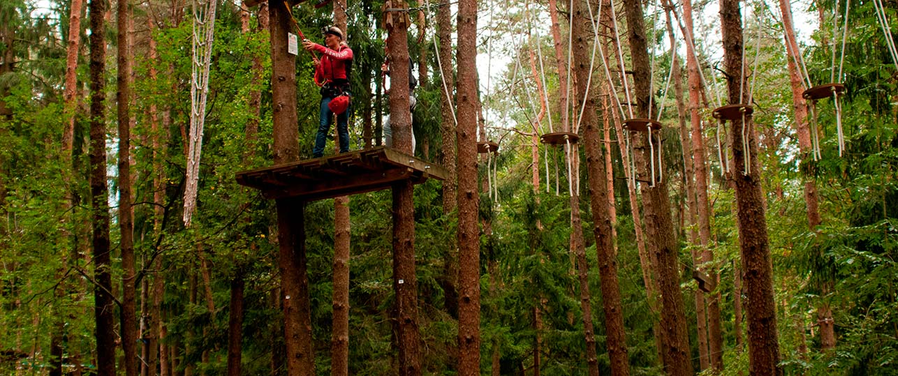 parco avventura in Pineta5