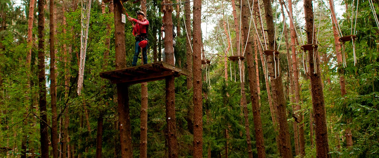 parco avventura in Pineta5