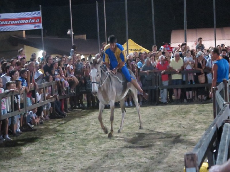 Palio Degli Asini E Festa Del Carmine