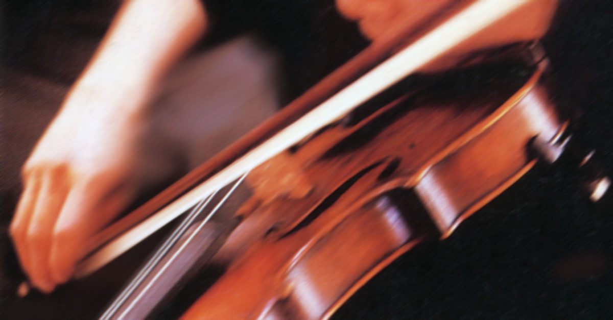 Violino