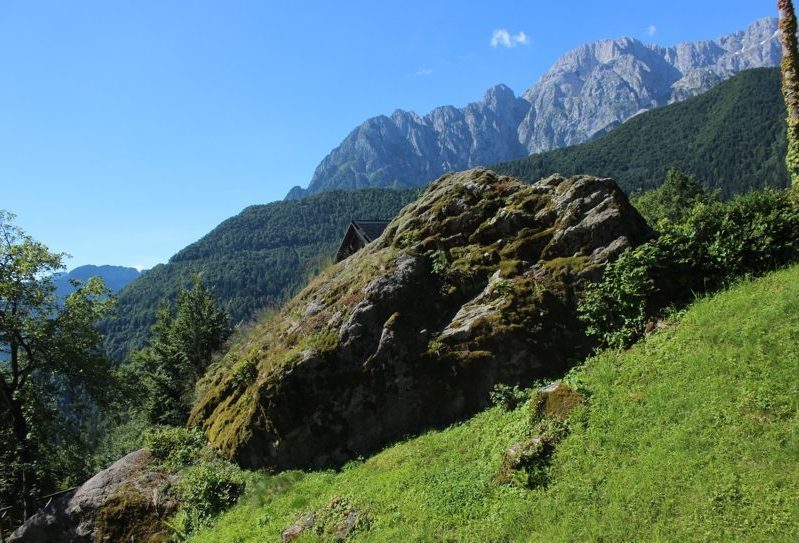 6a I Tronchi Fossili Di Vilminore