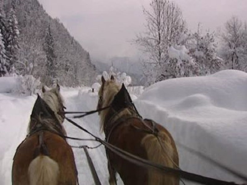 In Calesse Per Le Vie Centro