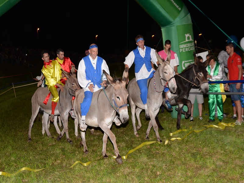 Palio Degli Asini San Lorenzo Di Rovetta