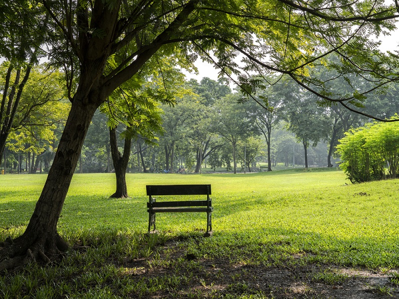 Una Casetta Nel Parco