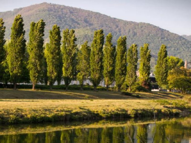 Il Fiume Serio E La Roggia Borgogna