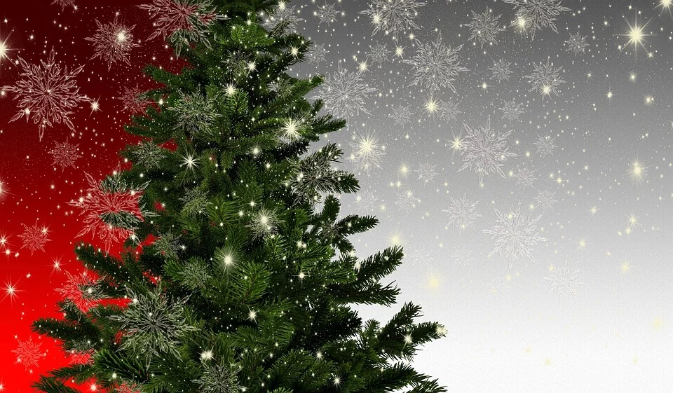 Albero Di Natale Yahoo.Accensione Albero Di Natale Sito Ufficiale Valseriana E Val Di Scalve