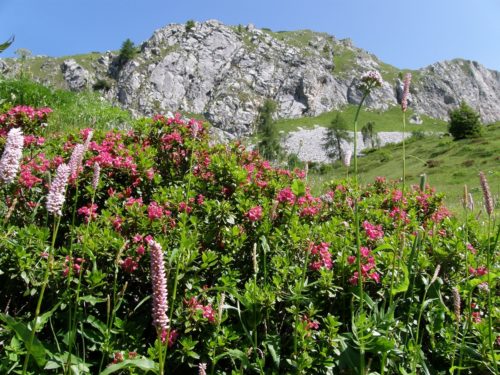 VAL di primavera