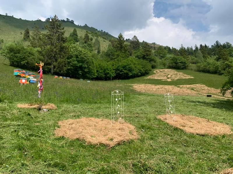 degustando-il-polline-magico