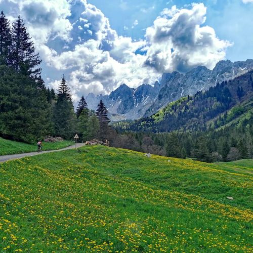 La bellezza si trova percorrendo ogni strada (@Luca Sainini)