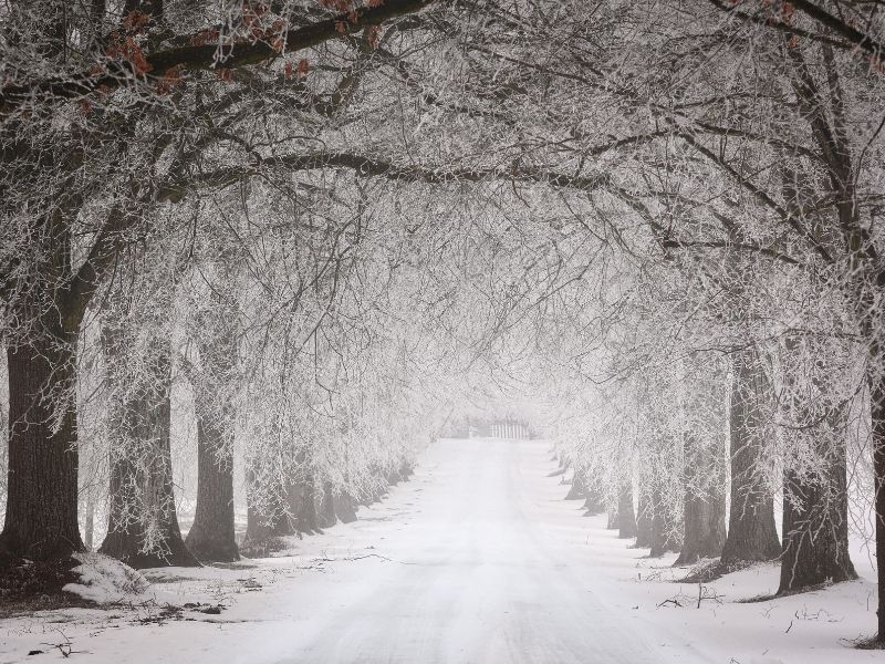 Spettacolo-teatrale-il-sergente-nella-neve