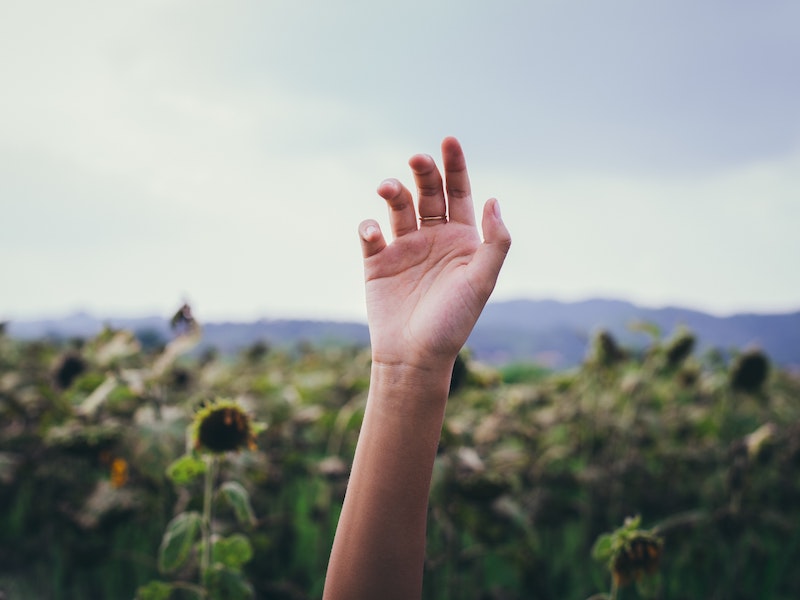 Mostra personale: Natura umana