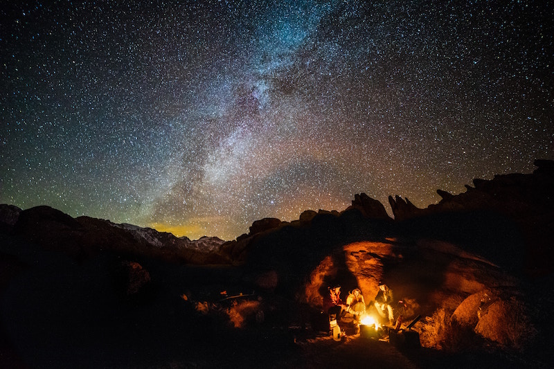 La Notte Nel Bosco