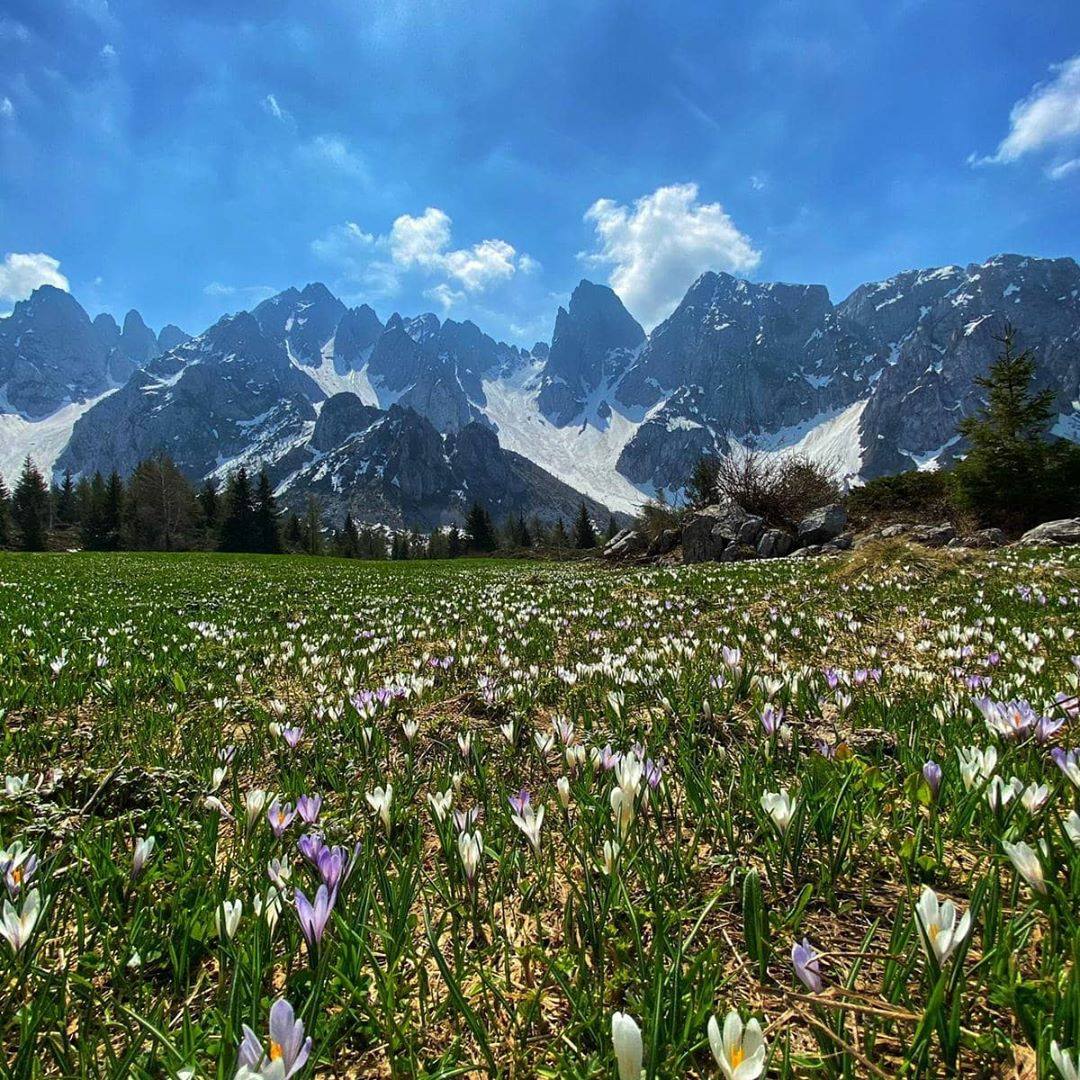 docufilm di montagna