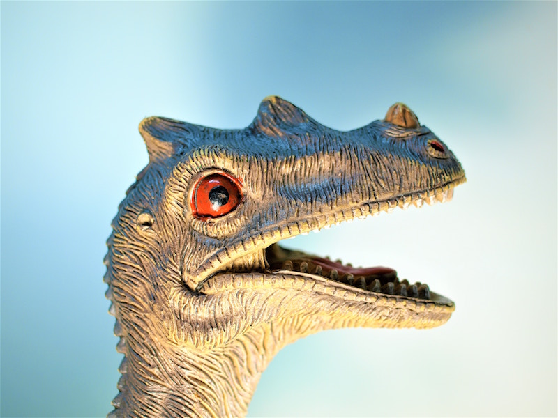 Pterosauri E Uccelli