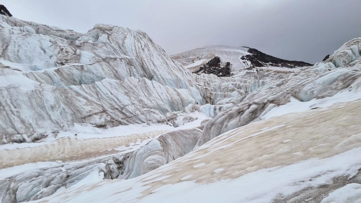 Foto Terra Glacialis Nembro