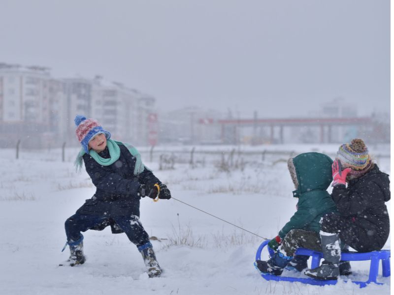 Carnival on Ice a Colere