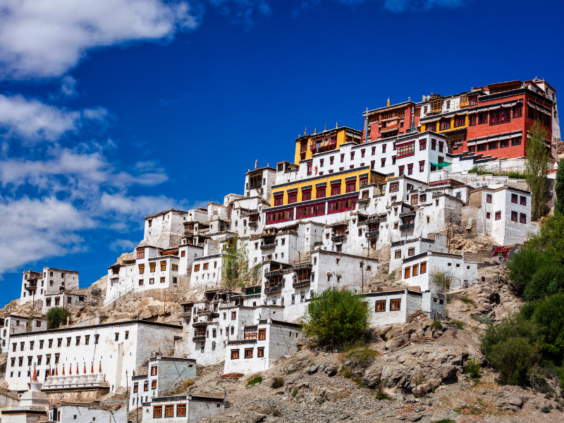 Viaggio In...Ladakh