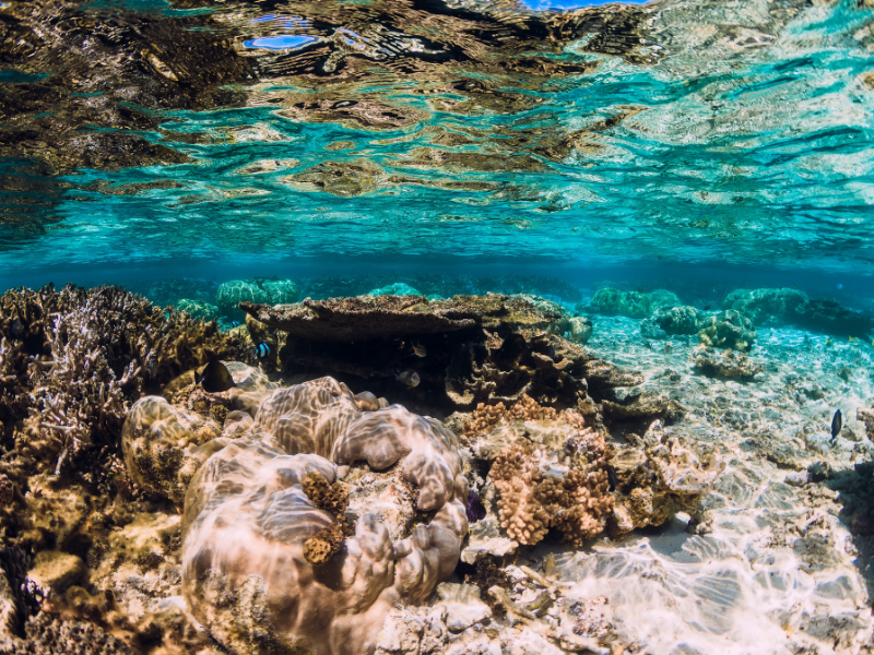 Romano Arienti: tra superficie e fondale