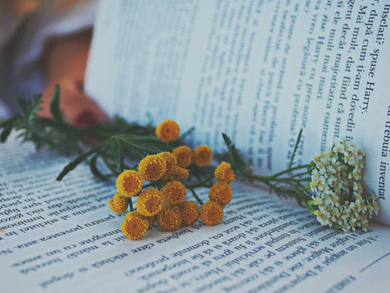 ApPassionati Ad Albino Presentazione Di Sorprendimi Ancora