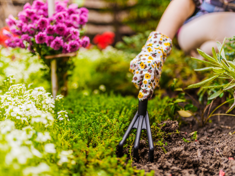 Corso Floricoltura Giardinaggio