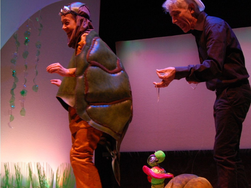 Spettacolo Il Viaggio Di Tartaruga Piepesante Albino 2025