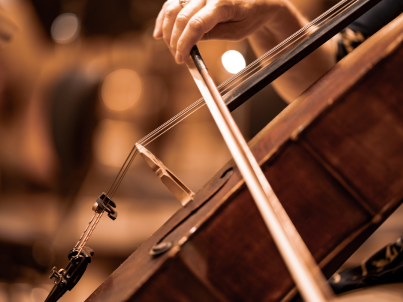 Concerto Musica Profana E Sacra Albino