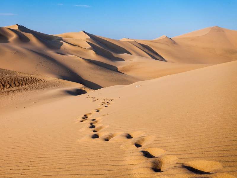 ImmaginAzione Ottobre Albinese 2025 (Rub' al-Khali)