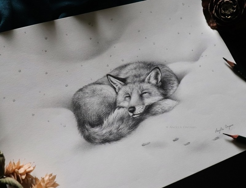 Corso Di Disegno Base Disegnare Il Bosco E I Suoi Animali © Angela Ongaro