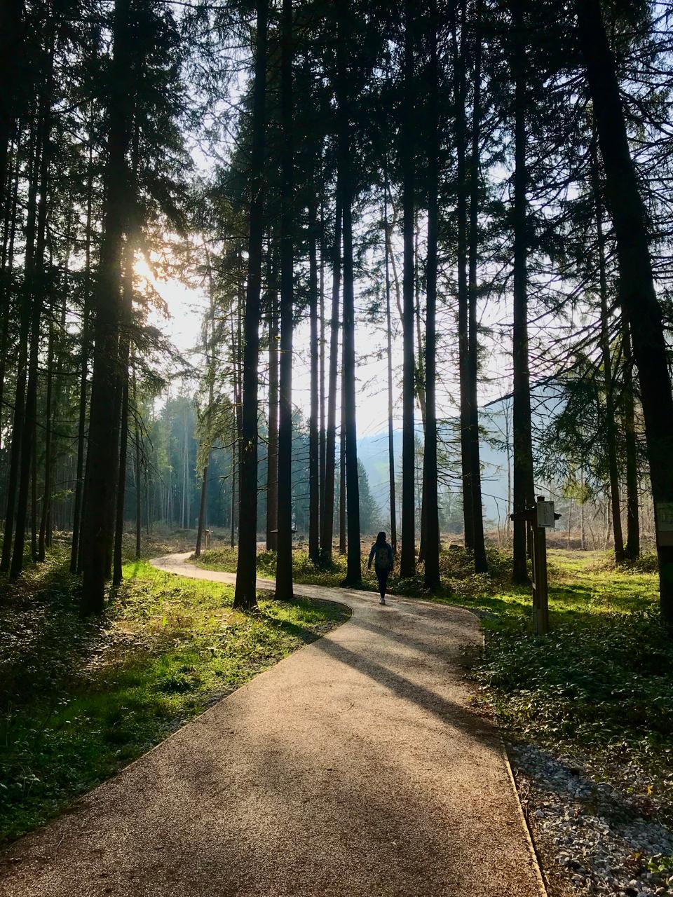 Radici invisibili, Noi siamo Natura - 1° appuntamento