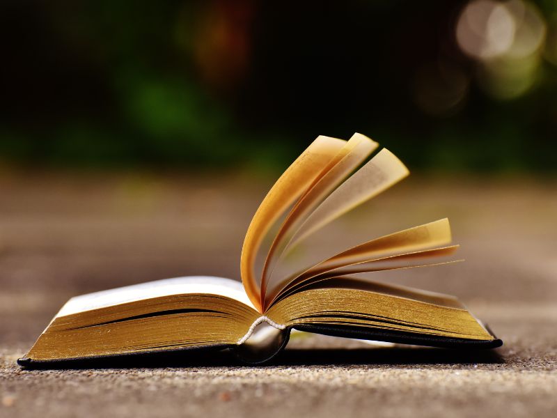 Presentazione libro "La scelta"