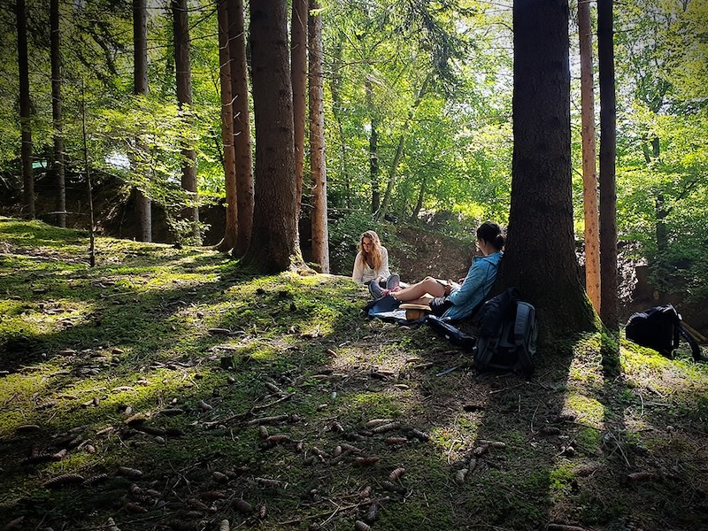 Laboratorio Disegno Allaperto E Forest Bathing