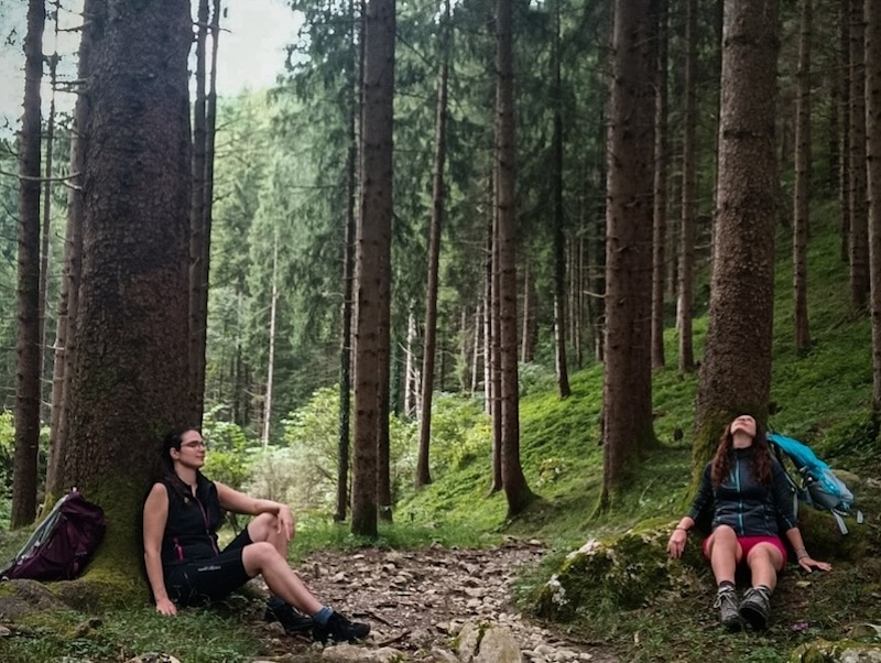 Pratiche Forest Bathing E Workshop Disegno All'aperto