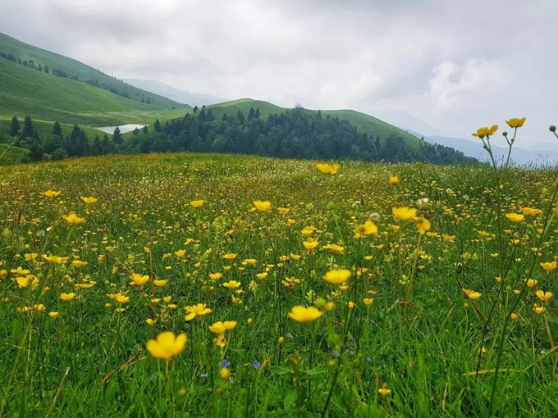 Settimane Della Montagna Dodicesima Giornata