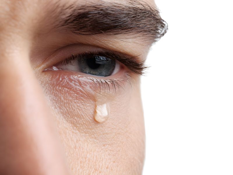 incontro con Alberto Penna