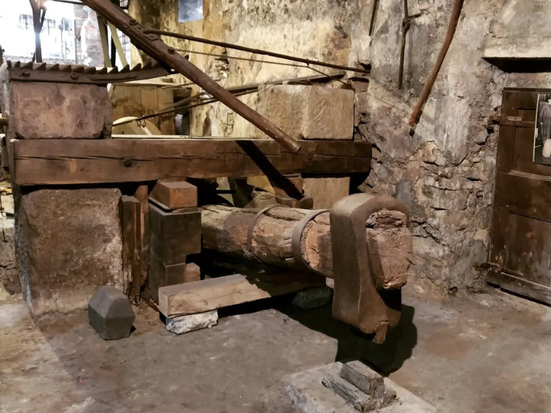 Innestare Sogni Al Maglio Calvi Albino