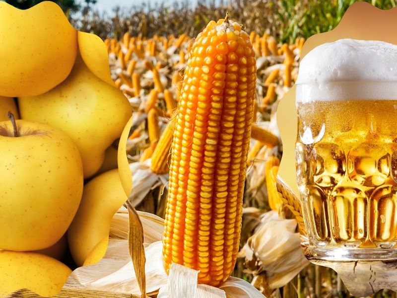 Alla Scoperta Del Giallo