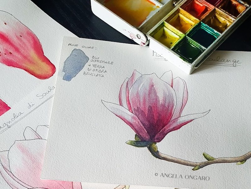 Corso Acquerello Base Fiori Piante Erbe Villa Di Serio © Angela Ongaro