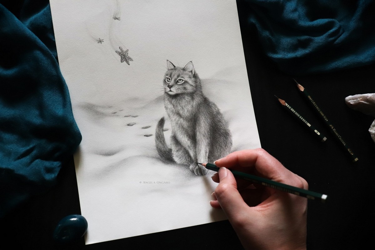 Disegnare Un Gatto Seduto A Matita Tutorial © Angela Ongaro