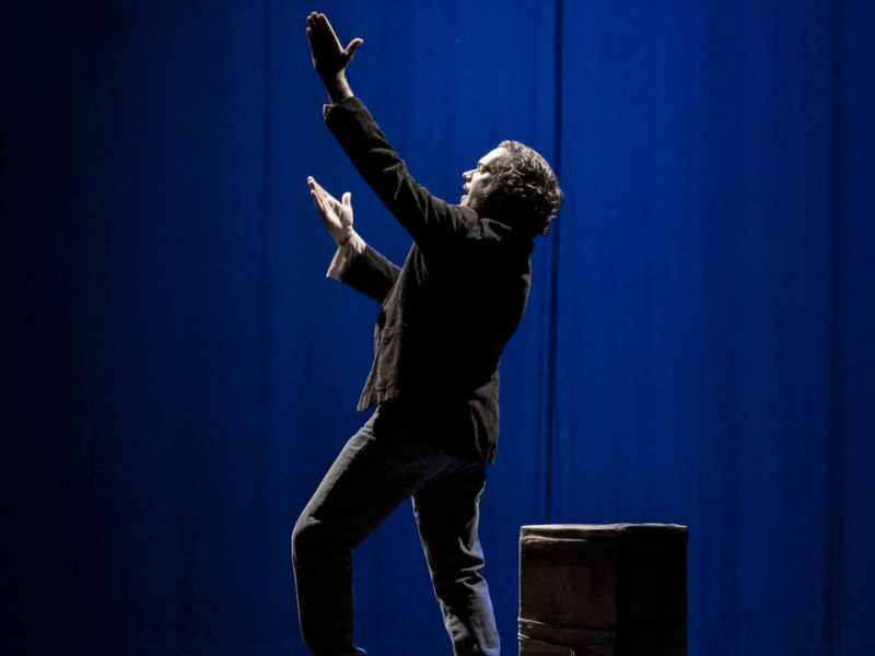 Albino In Scena IL CIRCO CAPOVOLTO