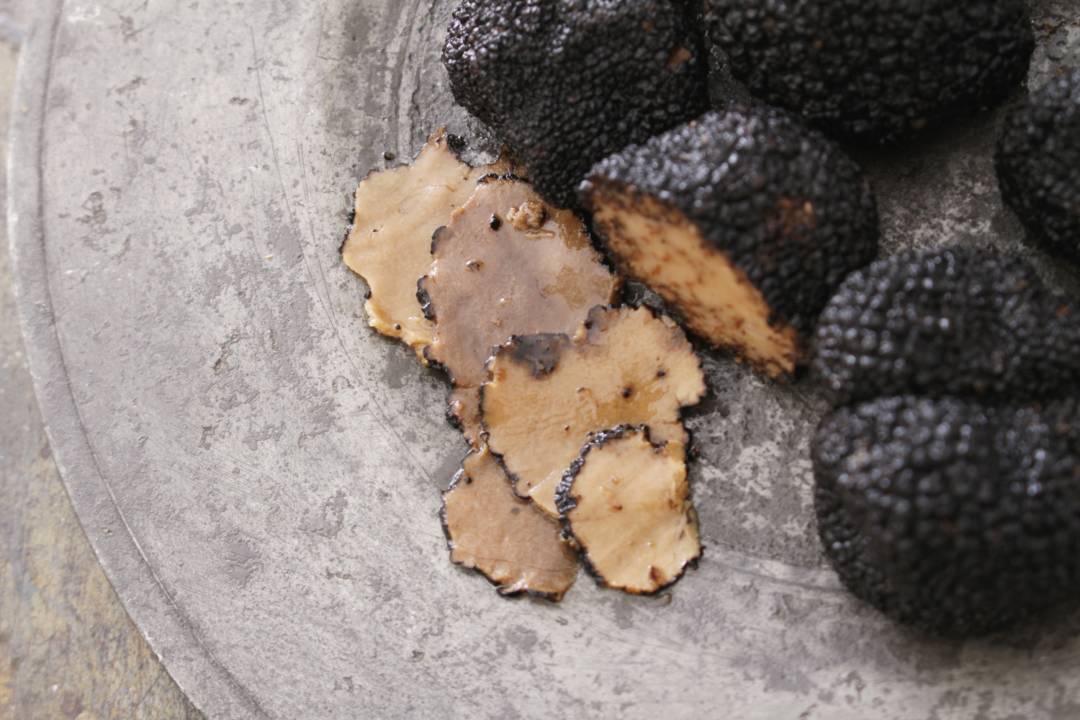 thumbnail Sagra del Tartufo