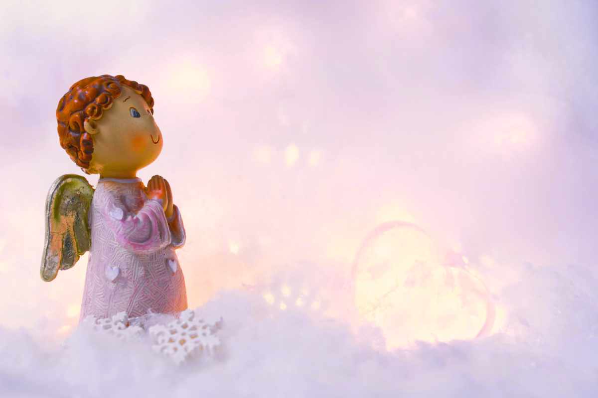 Libri in biblioteca sotto l'albero Albino Dicembre 2025