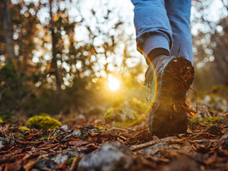 Camminata Con Alberto