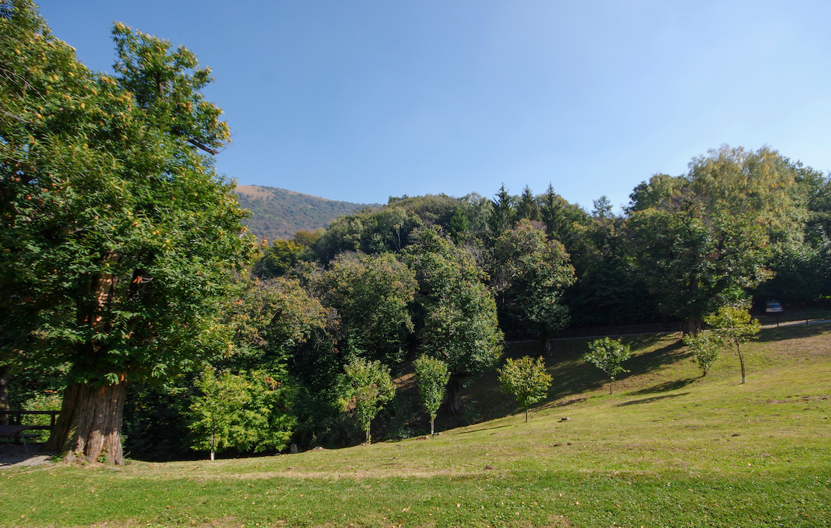 width=