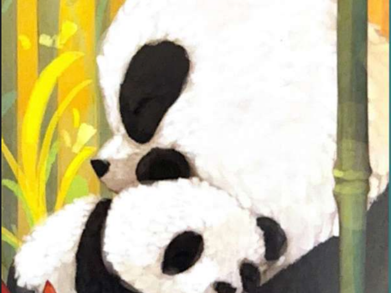 Tasche Piene Di Passi Gandino 30 Maggio 2026