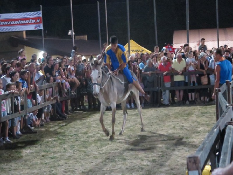thumbnail Palio degli asini di Valcanale