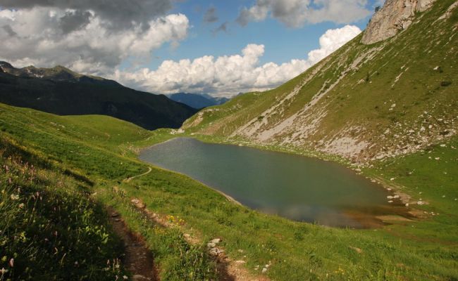 thumbnail Camminata libera “Tra i fiori di montagna”