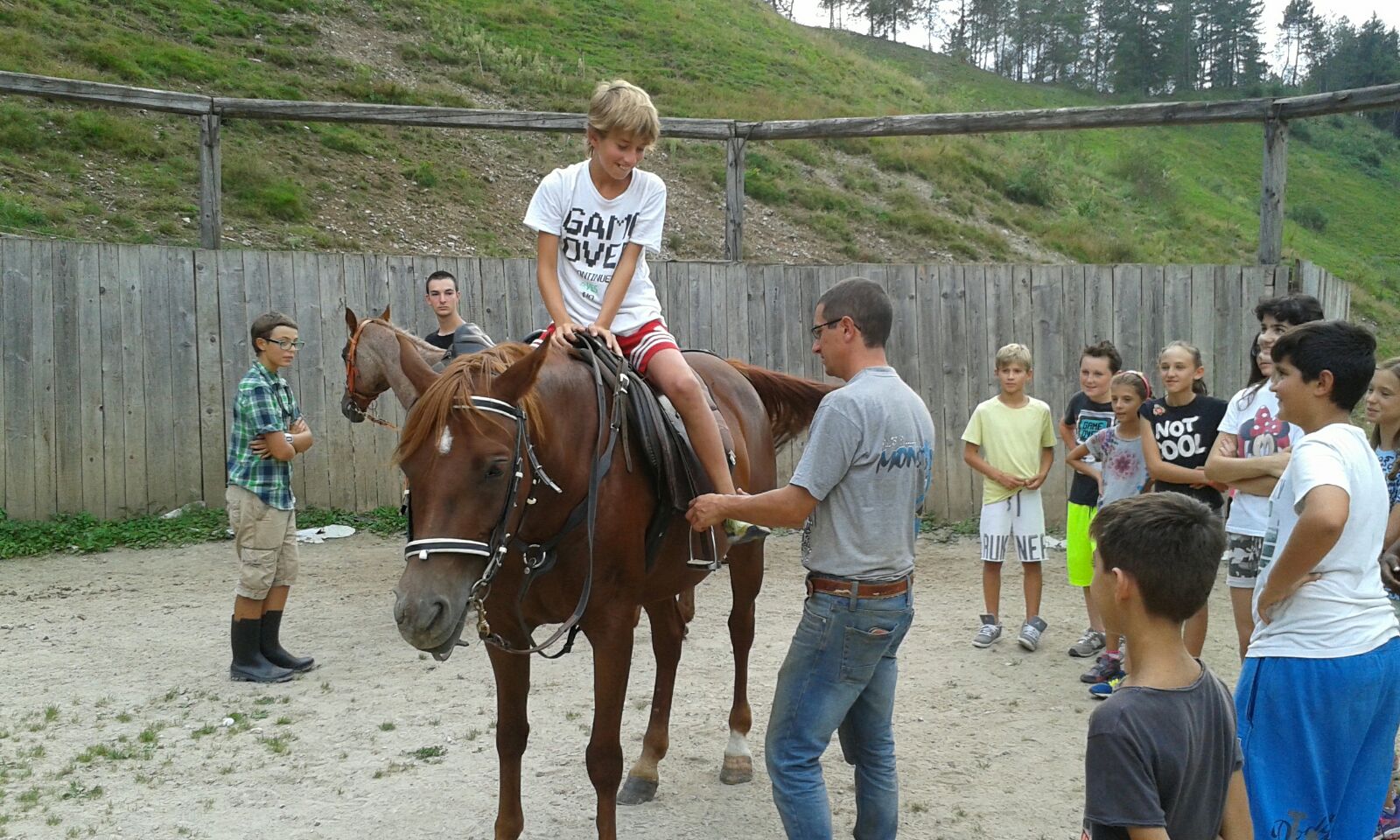 Cavallo 6