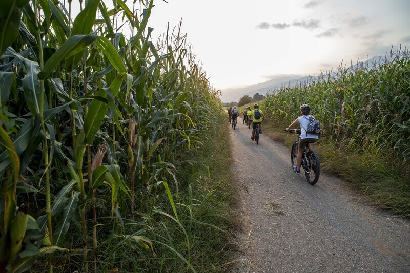 thumbnail Tour in e -bike tra campi e sapori