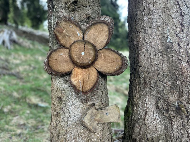 Forest Bathing 1° Maggio
